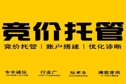 行业领先企业的SEM优化托管策略揭秘